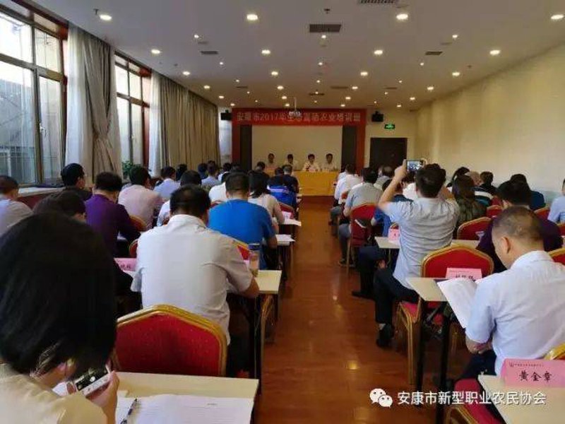 安康家政服务：选择更贴心的居家帮手
